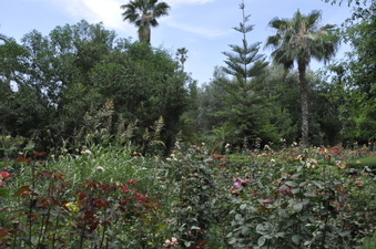 Enlarge photo 29