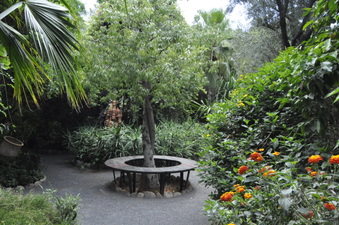 Enlarge photo 30