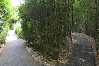 Enlarge photo 32