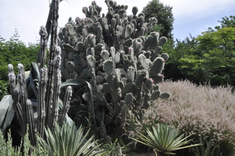 Enlarge photo 33