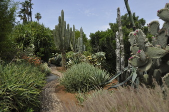 Enlarge photo 34
