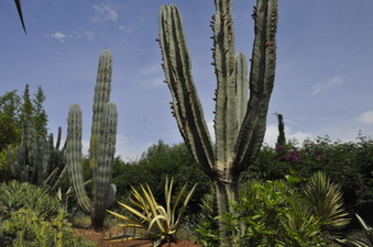 Enlarge photo 36