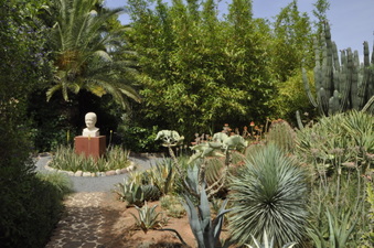 Enlarge photo 37