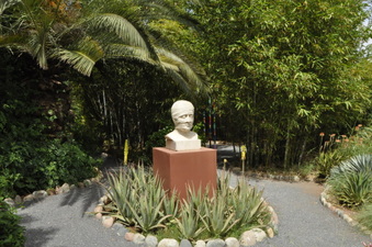 Enlarge photo 38