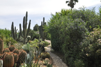 Enlarge photo 40