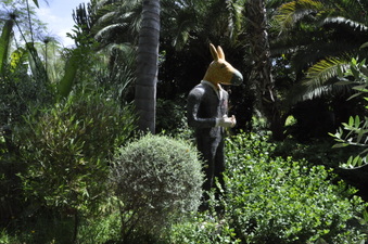Enlarge photo 43