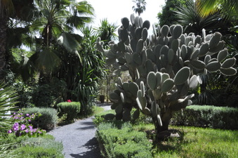 Enlarge photo 45
