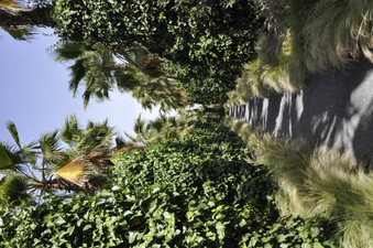 Enlarge photo 47