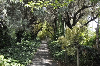 Enlarge photo 49