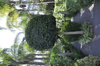 Enlarge photo 53