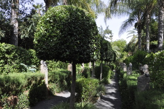 Enlarge photo 54