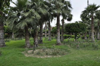 Enlarge photo 2
