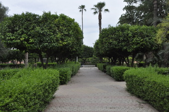 Enlarge photo 5