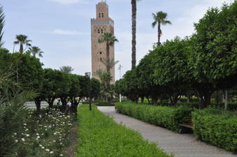 Enlarge photo 7