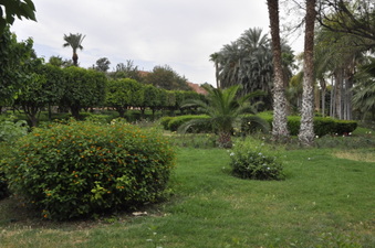 Enlarge photo 10