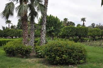 Enlarge photo 11