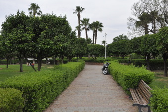 Enlarge photo 13