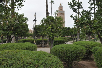 Enlarge photo 19