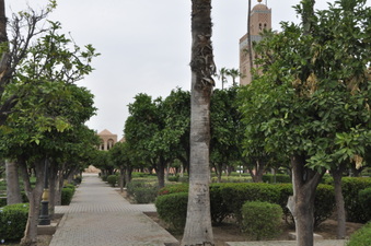 Enlarge photo 20