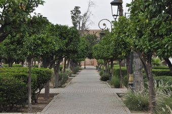 Enlarge photo 21