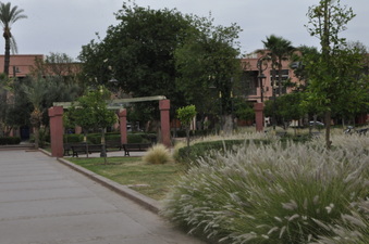 Enlarge photo 24