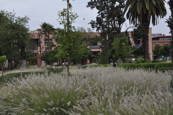 Enlarge photo 25