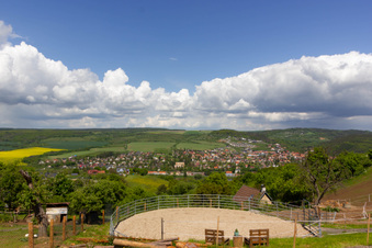 Enlarge photo 15