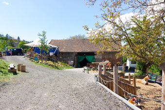 Enlarge photo 18