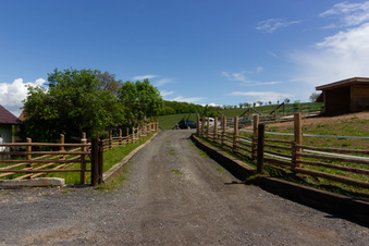 Enlarge photo 2
