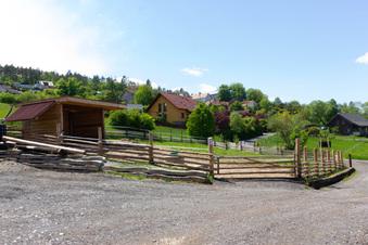 Enlarge photo 5