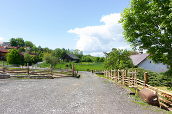 Enlarge photo 6