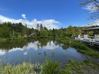 Enlarge photo 10
