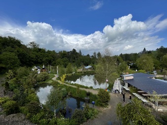 Enlarge photo 34