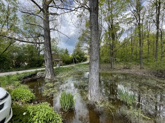 Enlarge photo 25