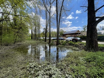 Enlarge photo 26