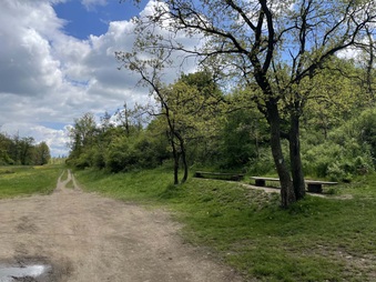 Enlarge photo 28
