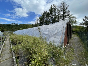 Enlarge photo 9