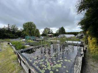 Enlarge photo 20