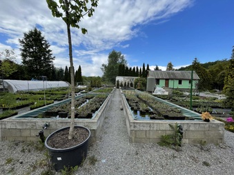 Enlarge photo 36