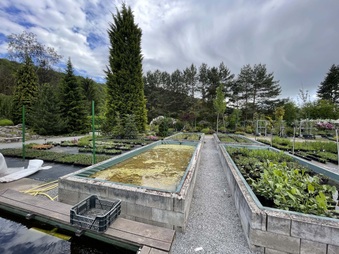 Enlarge photo 39
