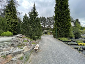 Enlarge photo 41