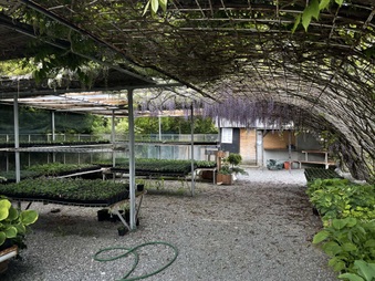 Enlarge photo 47