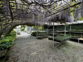 Enlarge photo 48