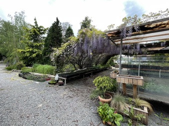 Enlarge photo 51