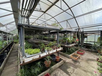 Enlarge photo 59