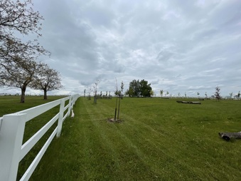 PADDOCK FOR HORSES SYKORICE