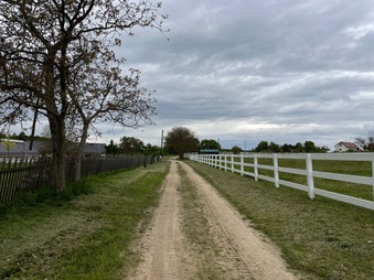 Enlarge photo 21