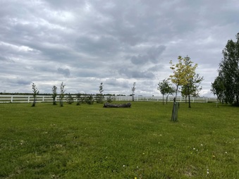 Enlarge photo 23