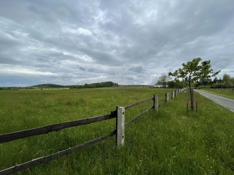 Enlarge photo 27