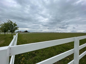 Enlarge photo 28